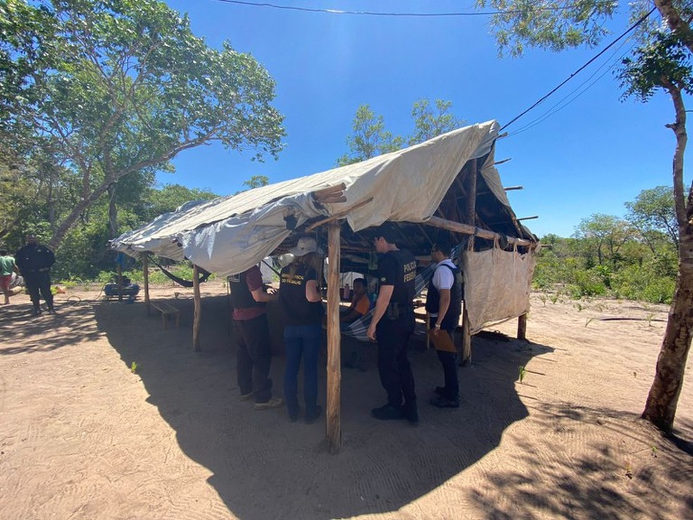 Vítimas foram resgatadas em situação de trabalho escravo no Tocantins — Foto: Reprodução/MTE